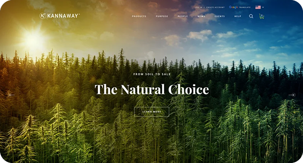 the-natural-choice